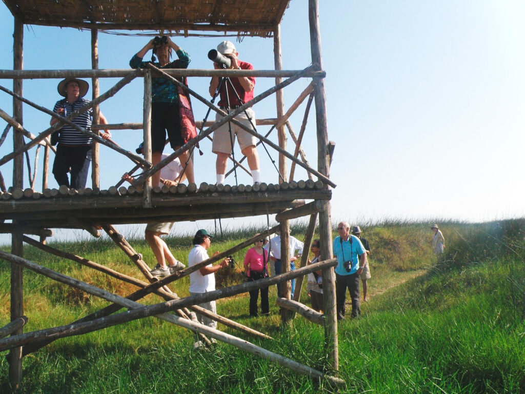 MIrador de Aves en las Lagunas de Mejía