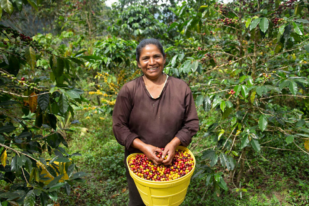 Ruta del café peruano