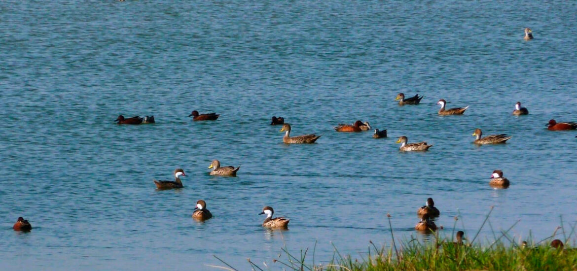 Santuario Nacional Lagunas de Mejía