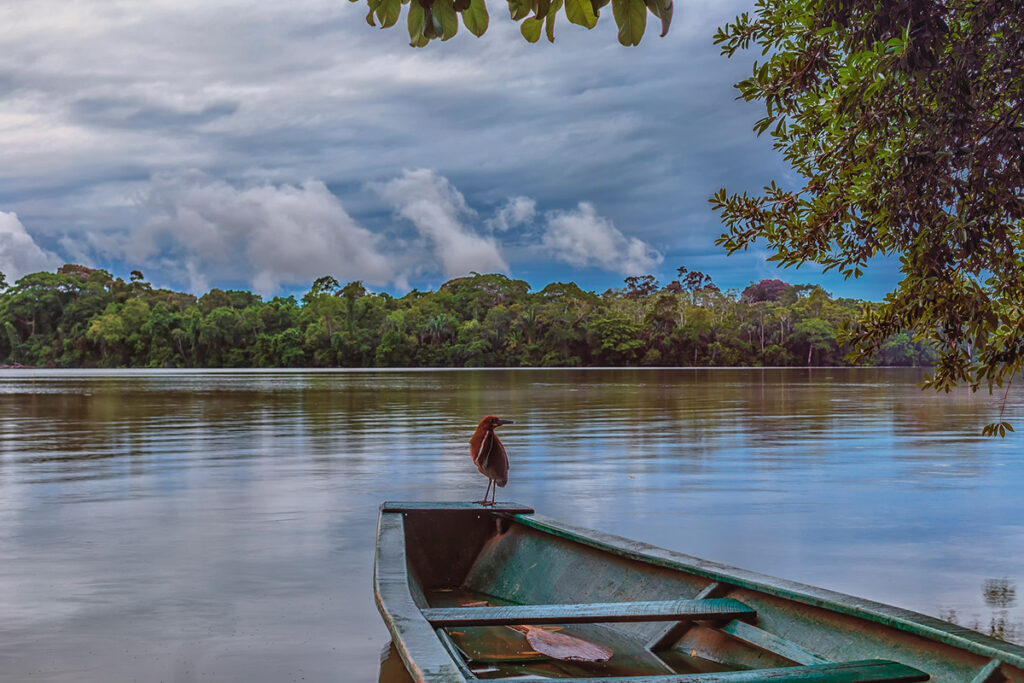 biodiversidad del lago sandoval