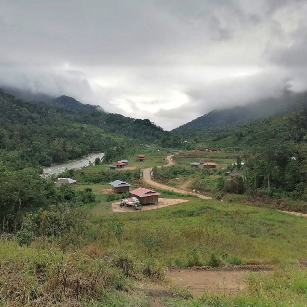 Clima del gran pajonal