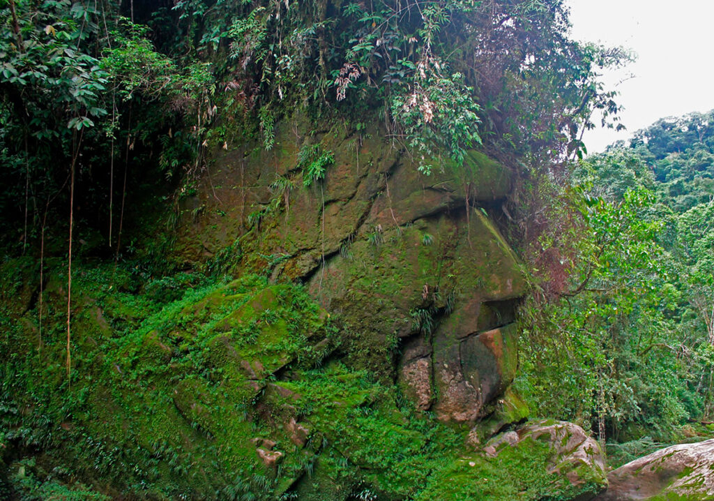 Rostro Harakbut en la Reserva Comunal Amarakaeri