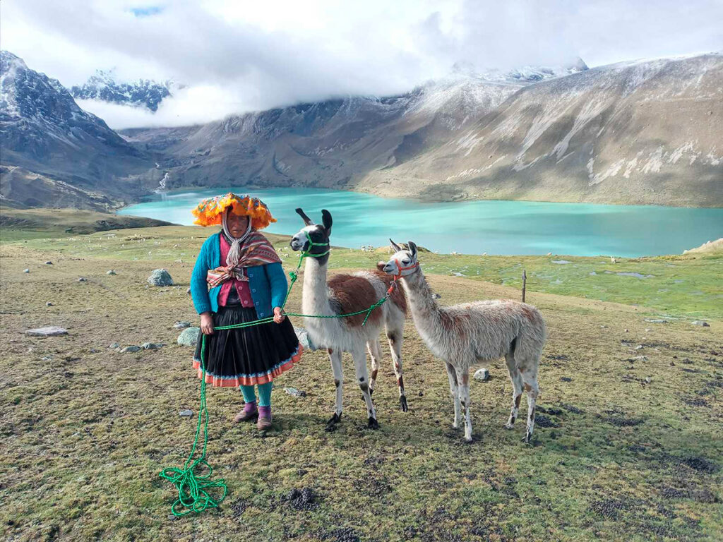 Mujer con vestimenta típica de su comunidad, llevando de una soga a sus Alpacas, en la localidad de  Pacchanta