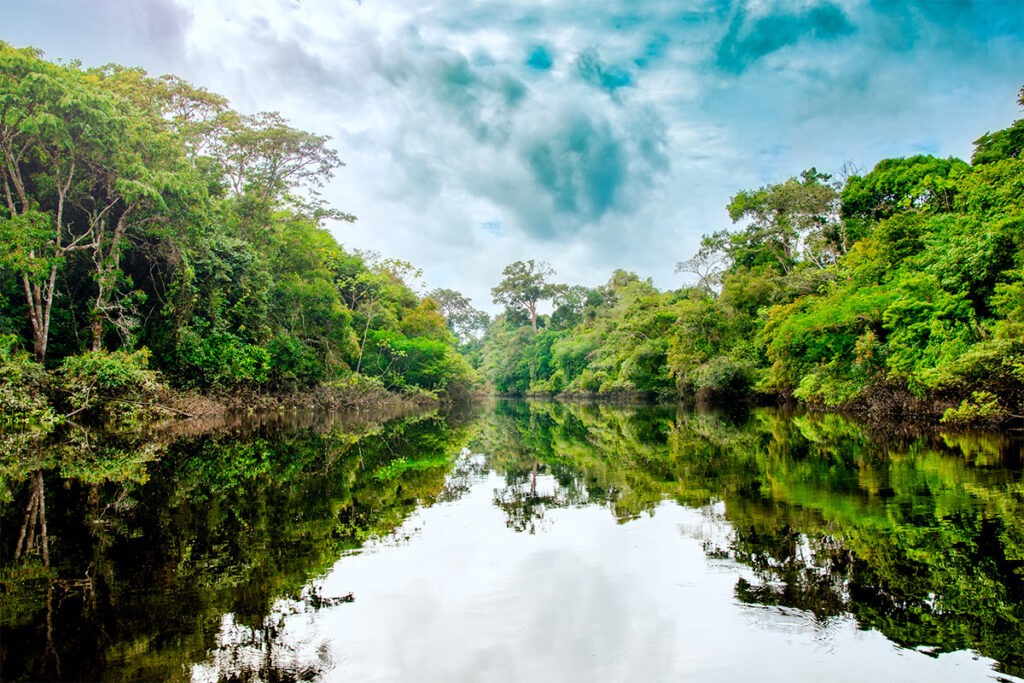 Paisaje de la selva reflejada en una laguna de la Reserva Nacional Pacaya Samiria, en Loreto, Perú