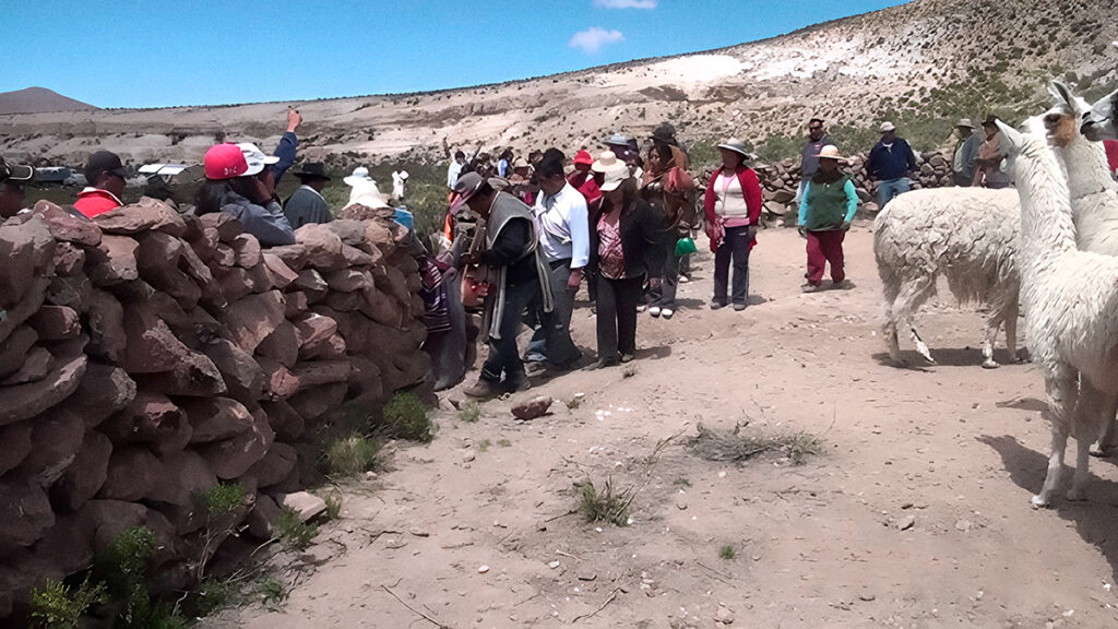 Bendición de los rebaños de Alpaca