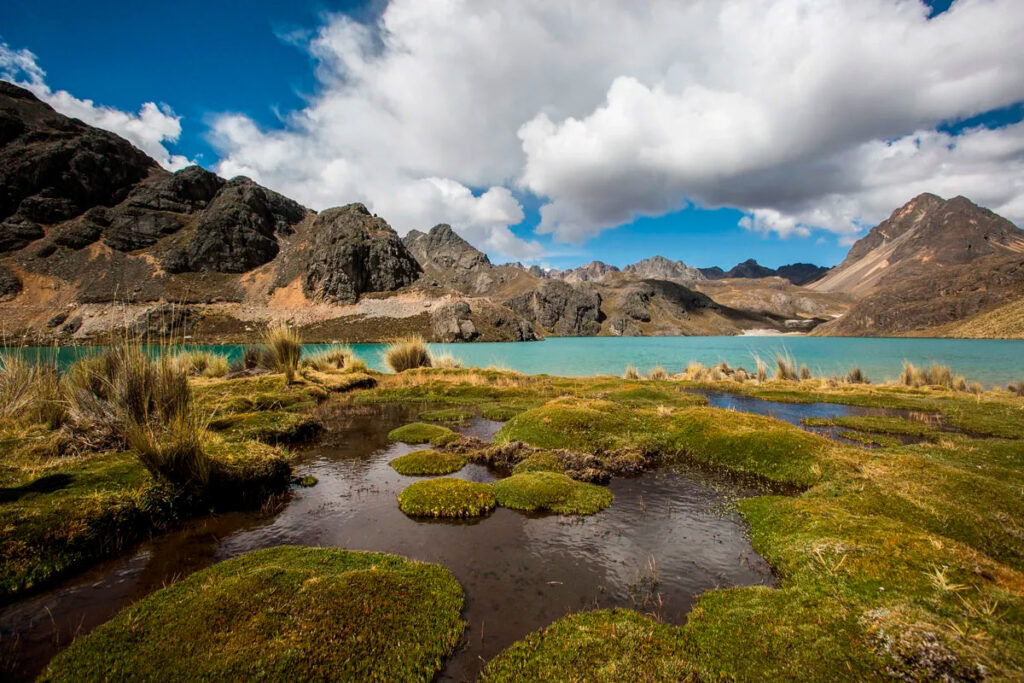 Los humedales del Perú proveen condiciones únicas para la vida 