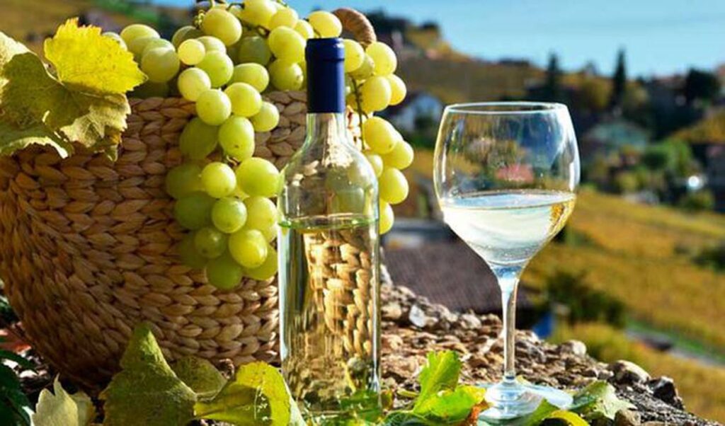 Pisco peruano o aguardiente de uva
