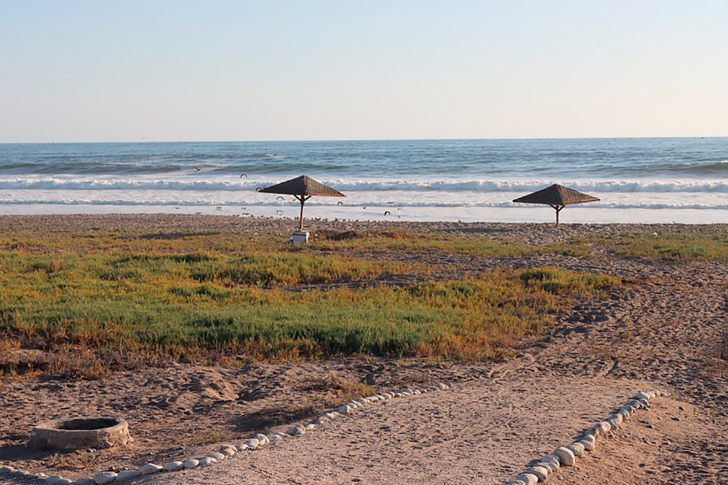 Turismo en playa los palos, tacna