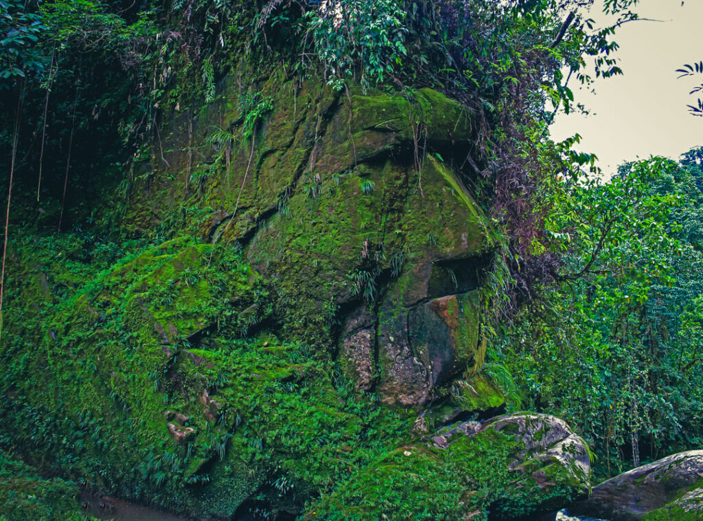 Rostro de Harakbut