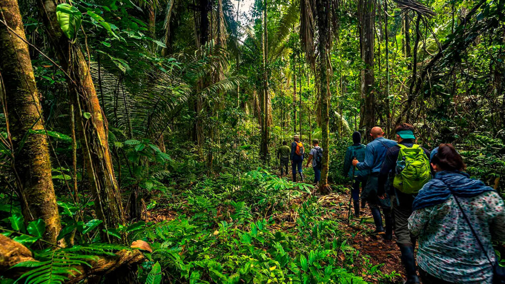 Grupo de viajeros recorriendo senderos rodeados de exuberante vegetación en la selva amazónica peruana