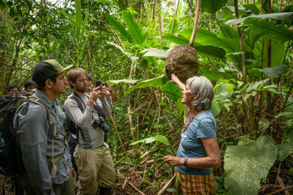 Turismo sostenible en la reserva comunal Amarakaeri