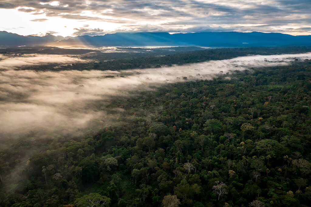 Bosque de Protección Alyo Mayo con neblina al amanecer y montañas al fondo