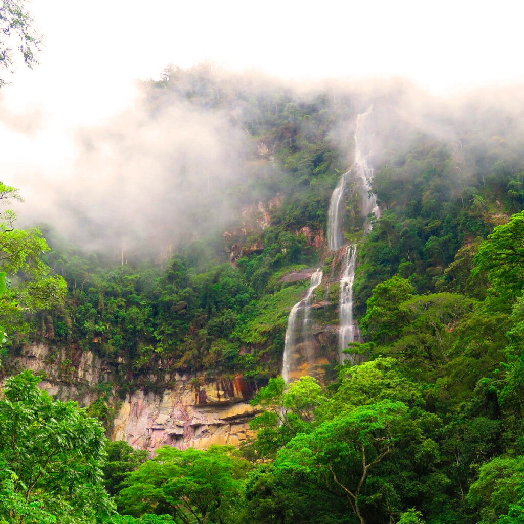 Catarata de Ahuashiyacu desdenciendo por un acantilado selvático envuelto en niebla,, en la selva alta de Tarapoto, Perú