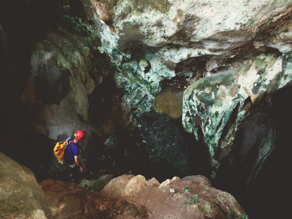 Cueva de los Guácharos de Soritor, en la región de San Martín 