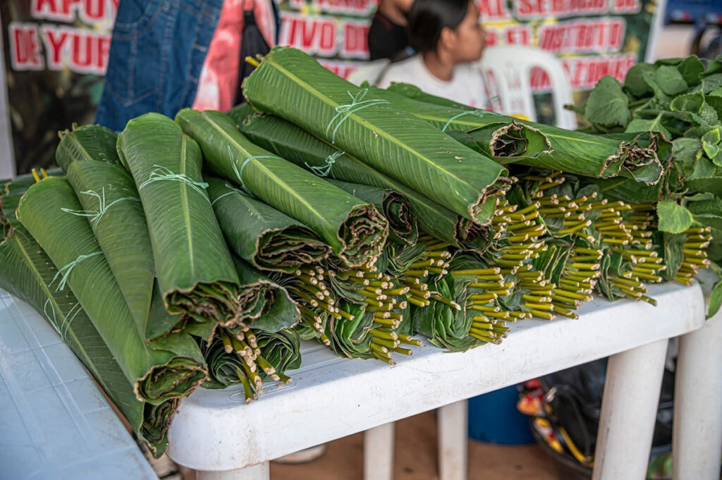 Hojas de bijao frescas apiladas en un mercado amazónico del Perú, utilizadas tradicionalmente para envolver alimentos como el juane y la patarashca