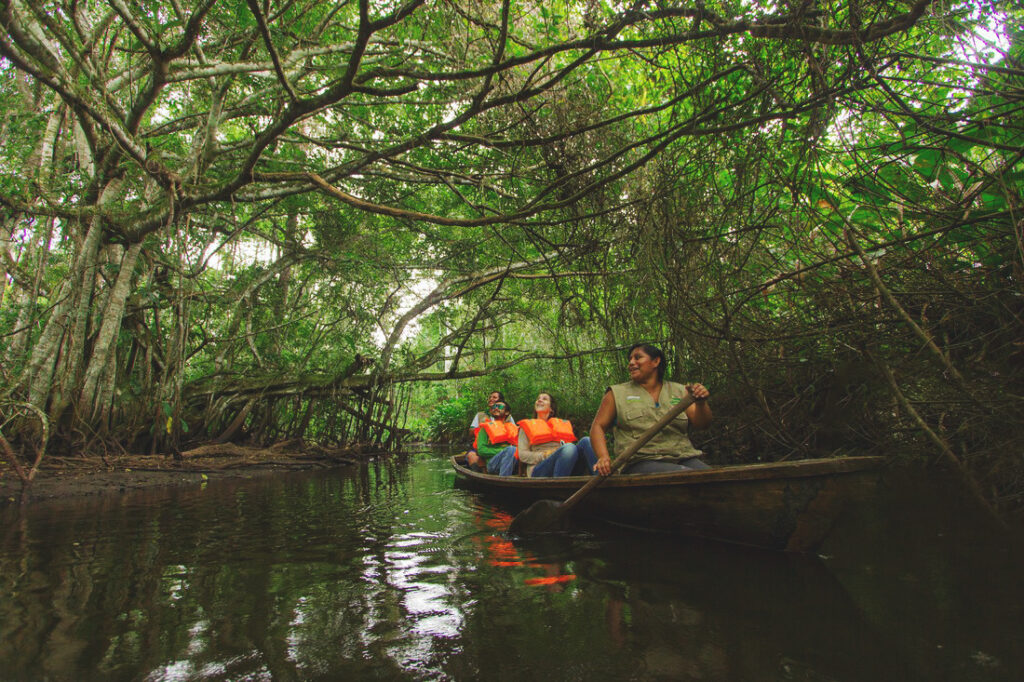 turistas navegan un río bajo el dosel de árboles de selva en la región de san martín