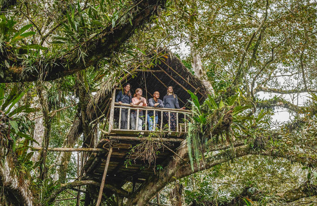 Turistas haciendo avistamientos de aves y observando erl paisaje desde un mirador en uno de los árboles de la reserva ecológica Tingana