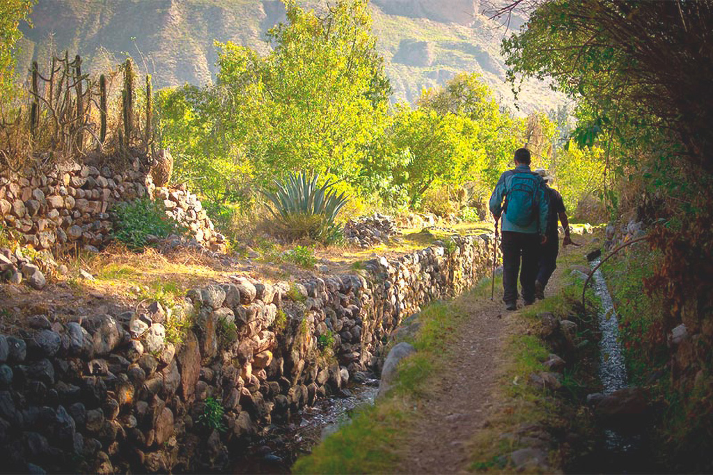 La belleza y serenidad de la vegetación en el valle de Pumahuanca