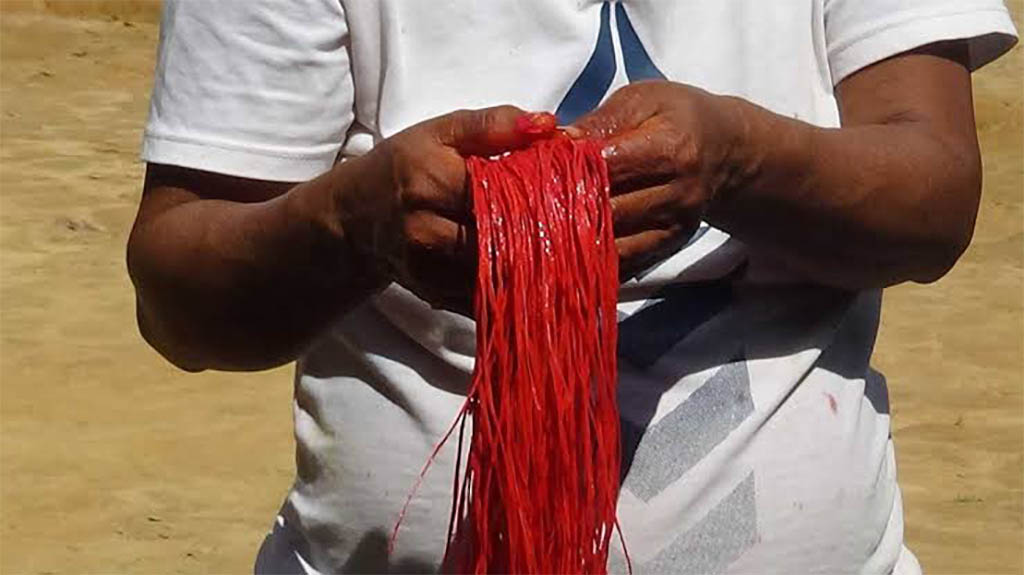Fibras teñidas de rojo con pigmentos naturales utilizados por el pueblo Yagua en la Amazonía peruana