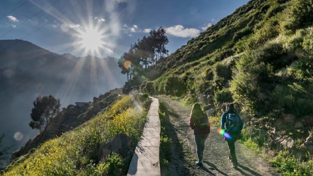 Viajeras avanzando por una pendiente iluminada por el sol, camino al Bosque de Zárate en medio de montañas verdes y árboles a contraluz