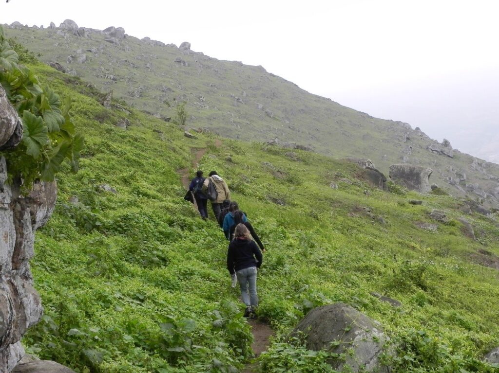 Grupo de senderistas recorriendo las Lomas de Lúcumo