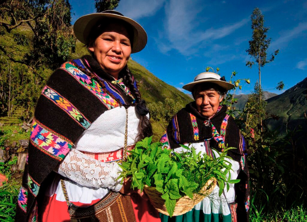Mujeres con vestimenta tradicional sostienen cultivos frescos en los andenes de Laraos, en Yauyos, Perú
