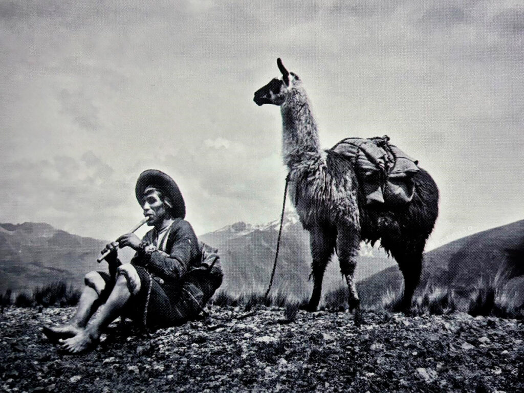 Pastor tocando una quena junto a su llama en los Andes Peruanos