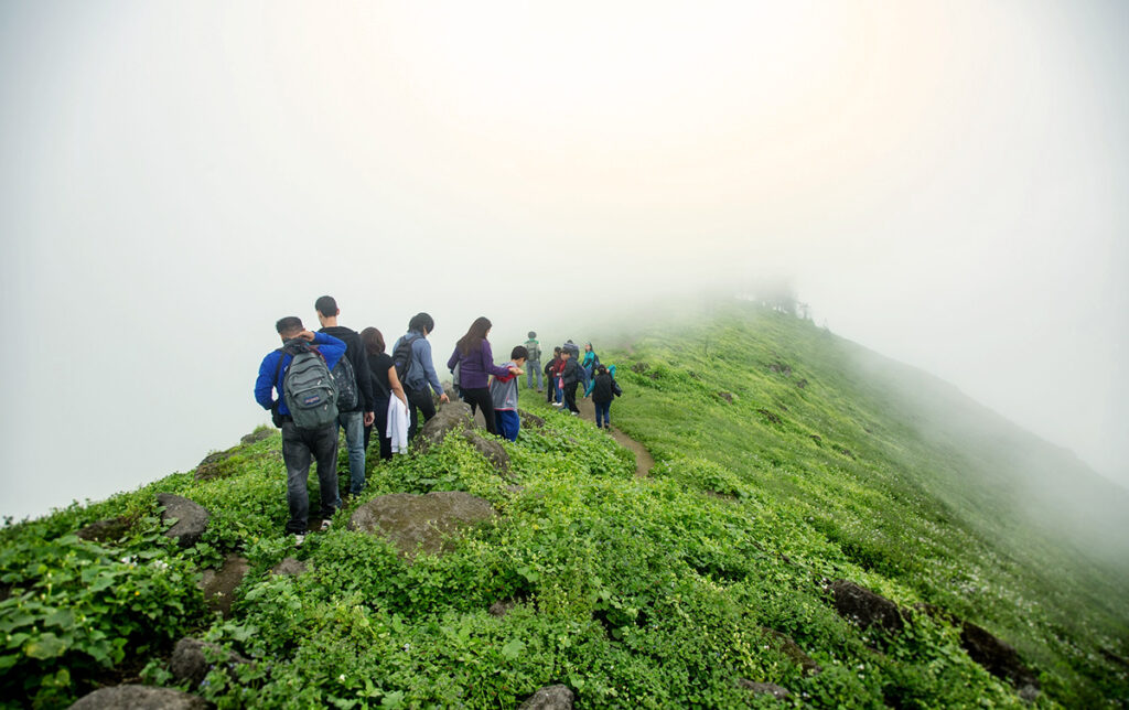 Grupo de visitantes caminando por las Lomas de Amancaes entre neblina 