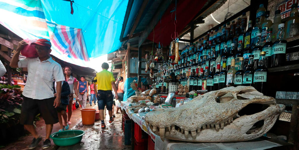 Interior del Mercado de Belén en Iquitos, con productos amazónicos y ambiente local