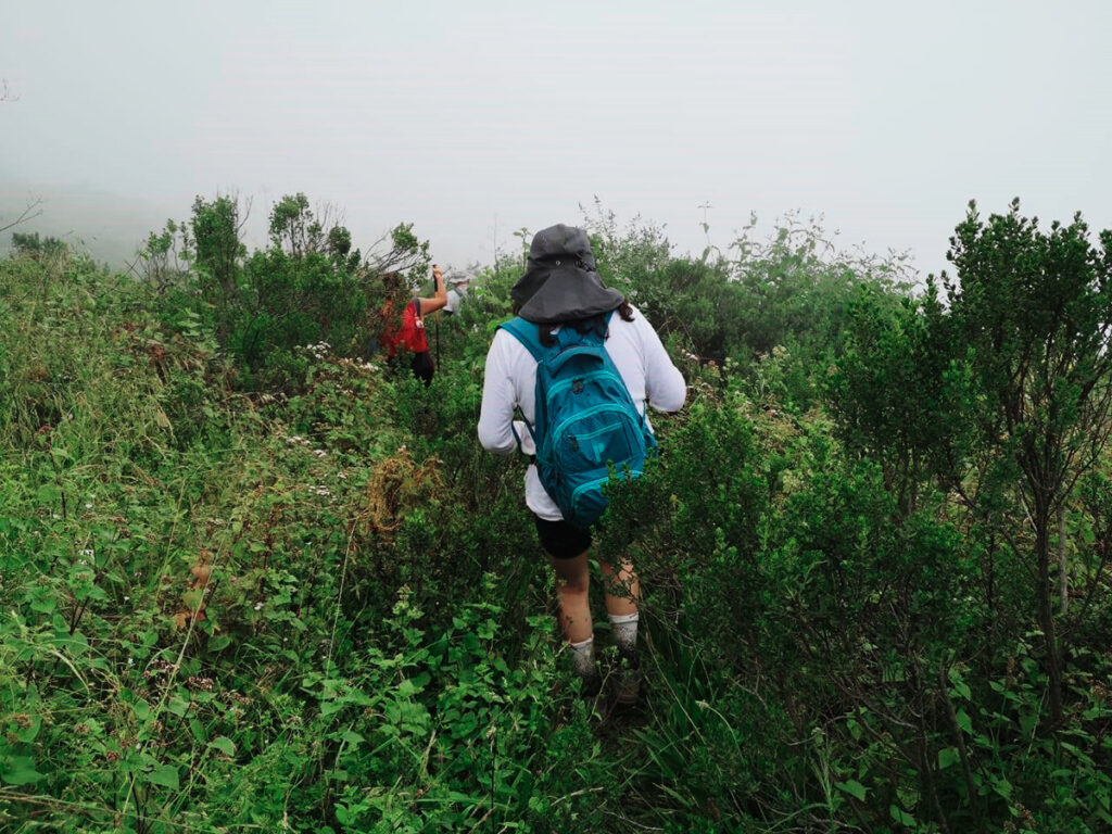 Explorador avanzando entre la vegetación húmeda del Bosque de Zárate durante una ruta de ascenso cubierta por niebla
