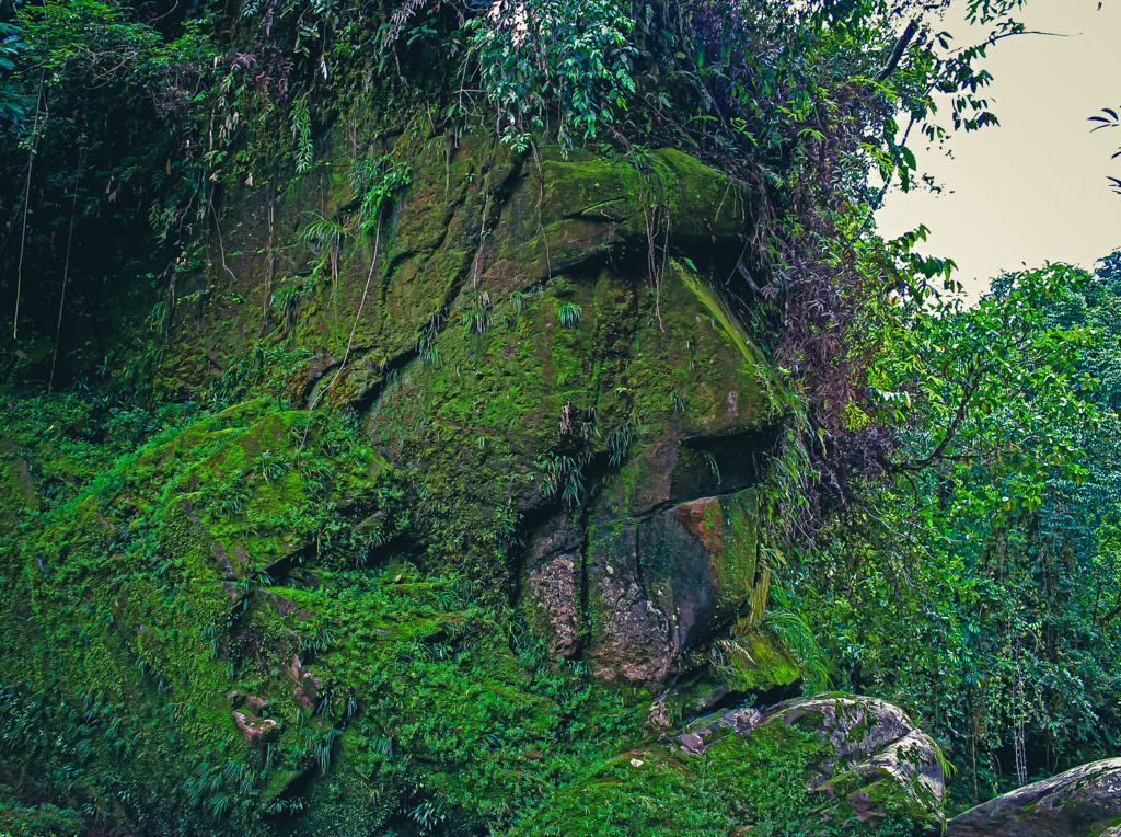 Rostro Harakbut, formación rocosa sagrada en la Reserva Comunal Amarakaeri, Madre de Dios