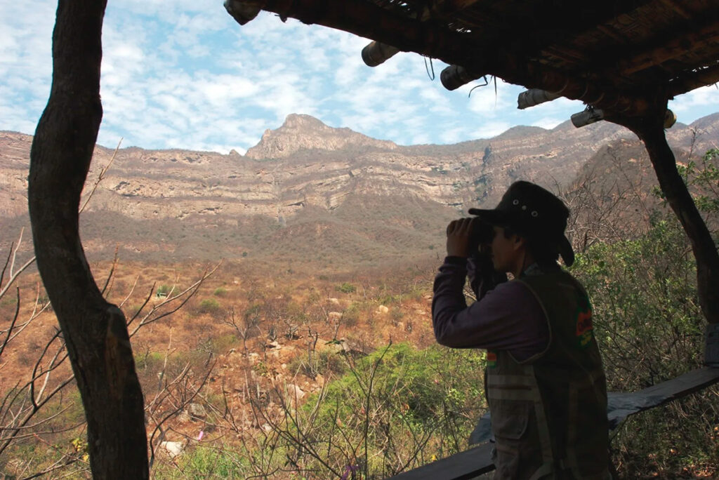 Guía comunal con binoculares observando el paisaje montañoso en Chaparrí durante una ruta de senderismo
