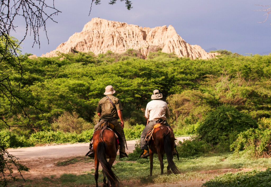 Turistas a caballo recorren el Santuario Histórico Bosque de Pomac, rodeados de vegetación seca y formaciones de cerros en Lambayeque, Perú