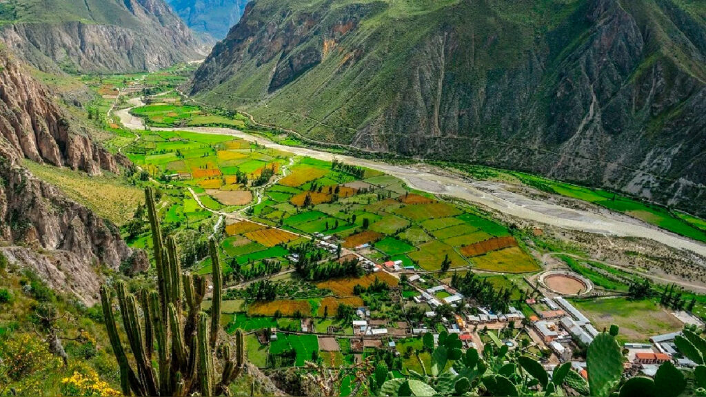 Vista del Cañón de Cotahuasi con cultivos en terrazas, cactáceas y el río serpenteando entre montañas rocosas