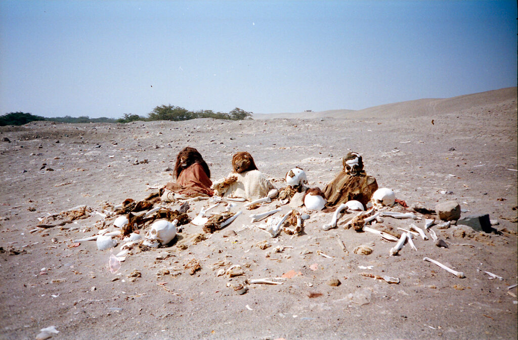 Momias nazca expuestas en el desierto de Chauchilla junto a restos óseos, mostrando la preservación natural del antiguo cementerio peruano