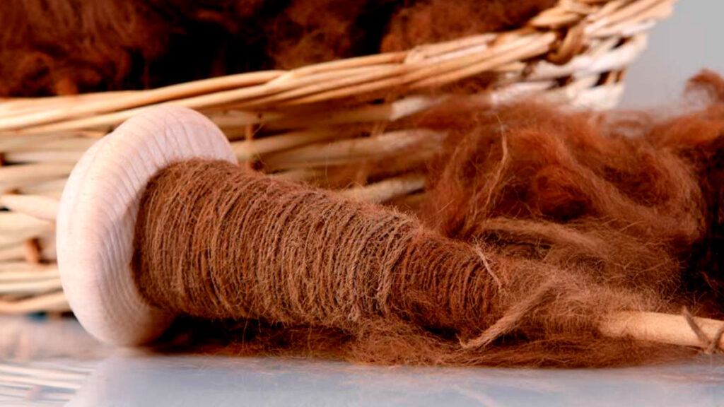 Primer plano de fibra de vicuña hilada junto a una cesta de mimbre, lista para su procesamiento textil