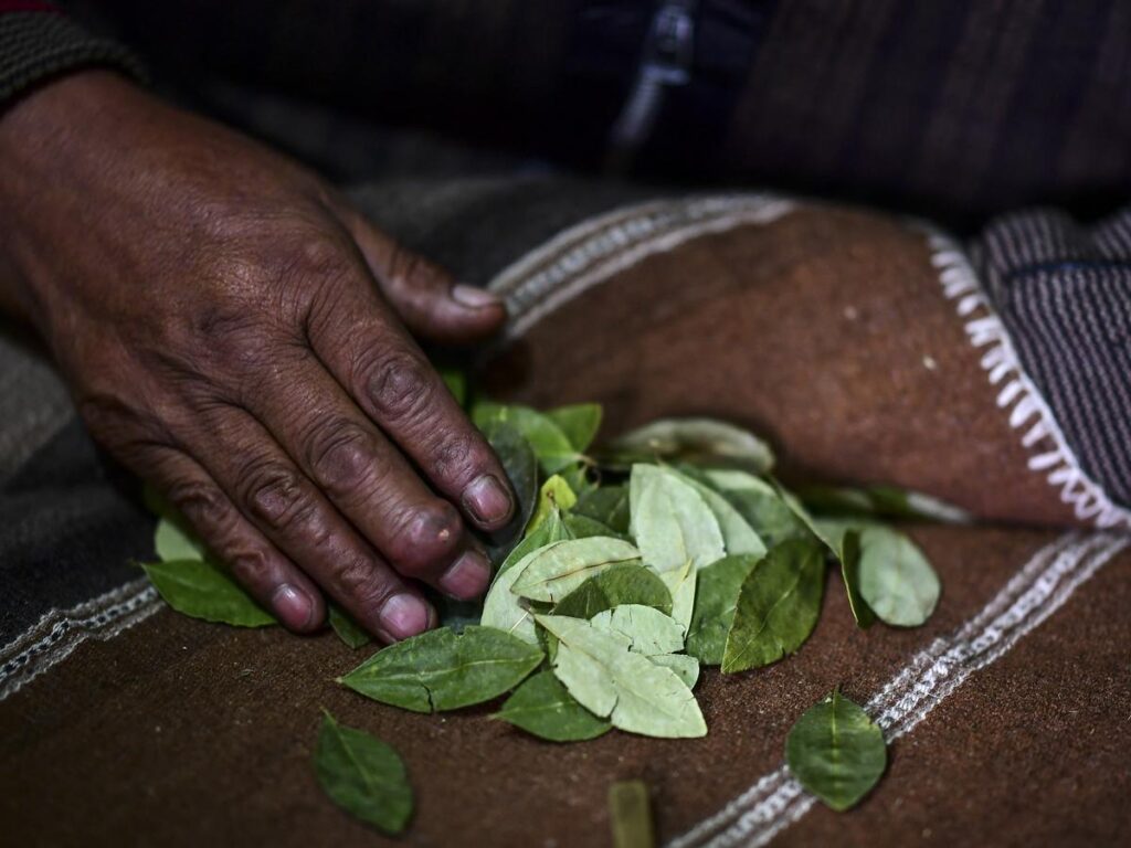 Lectura ritual de hojas de coca sobre una manta andina en los Andes peruanos
