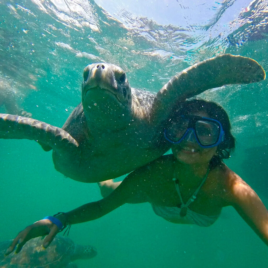 Turista buceando junto a una tortuga marina en las aguas de El Ñuro, Piura