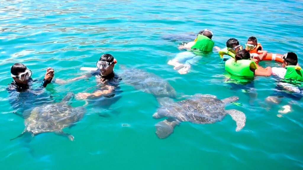 Grupo de visitantes nadando con tortugas marinas en El Ñuro, bajo supervisión y medidas de seguridad