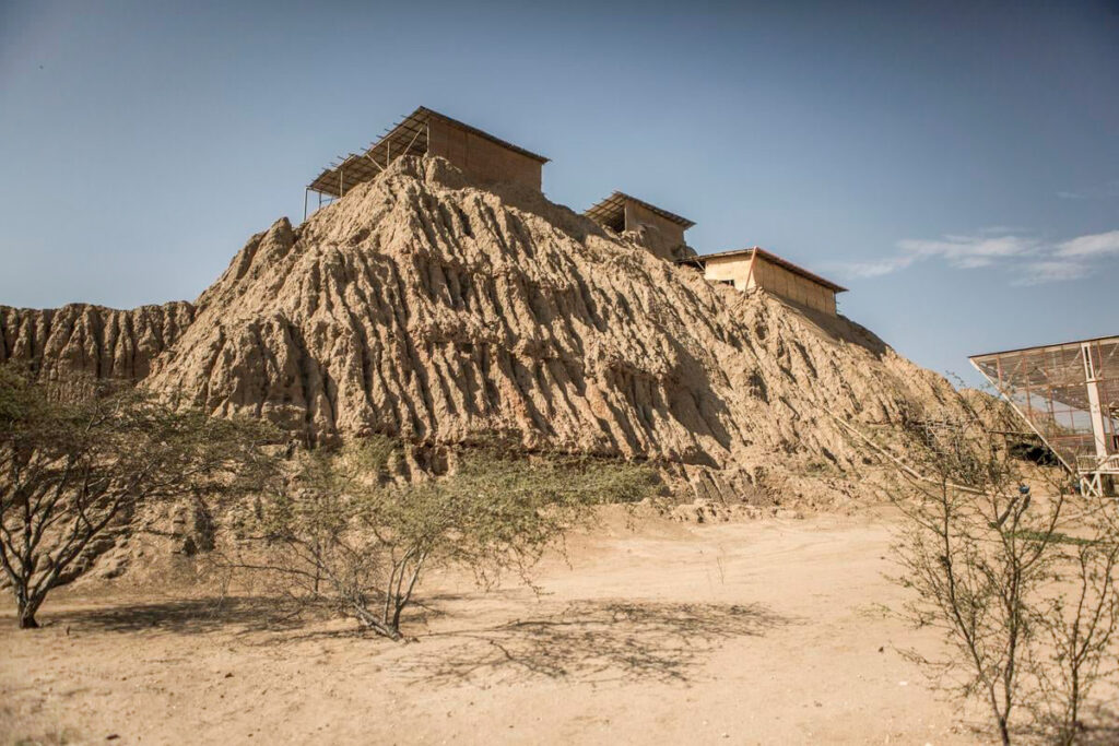 Vista de una pirámide de adobe en el Complejo Arqueológico de Túcume, rodeada de vegetación del bosque seco en Lambayeque, Perú