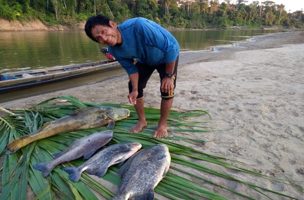 Hombre machiguenga junto a pescados sobre hojas de palma, a orillas de un río amazónico
