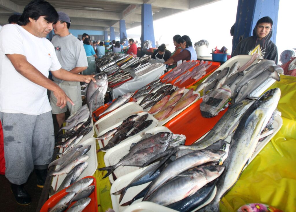 Pescadores y vendedores organizan pescados frescos en un mercado peruano, bajo una estructura techada junto al mar