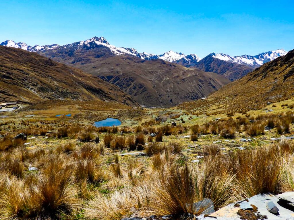 Paisaje de Abra Málaga en Cusco, con puna altoandina, lagunas y montañas nevadas que marcan la transición hacia el bosque nublado