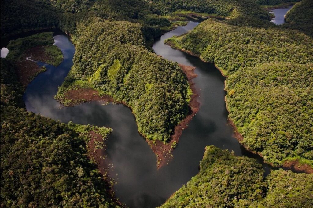 Vista aérea del Parque Nacional Alto Purús con ríos meándricos y selva amazónica intacta