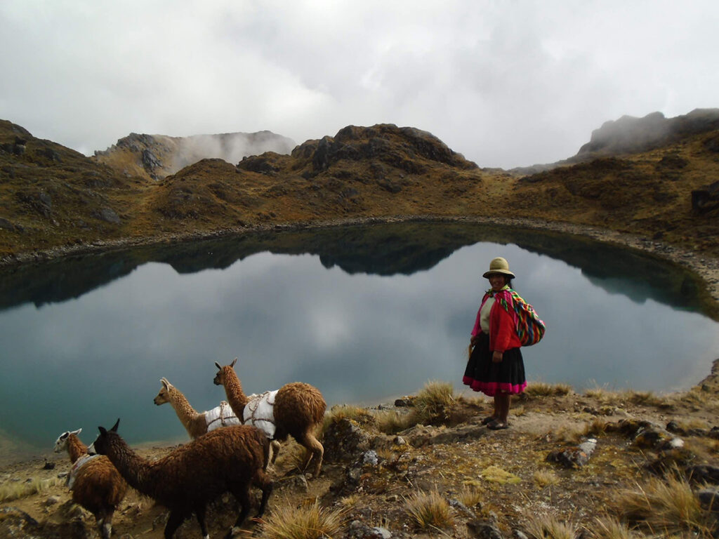 Mujer andina con llamas junto a un bofedal y laguna de altura en los Andes peruanos, ecosistema clave para anfibios y camélidos