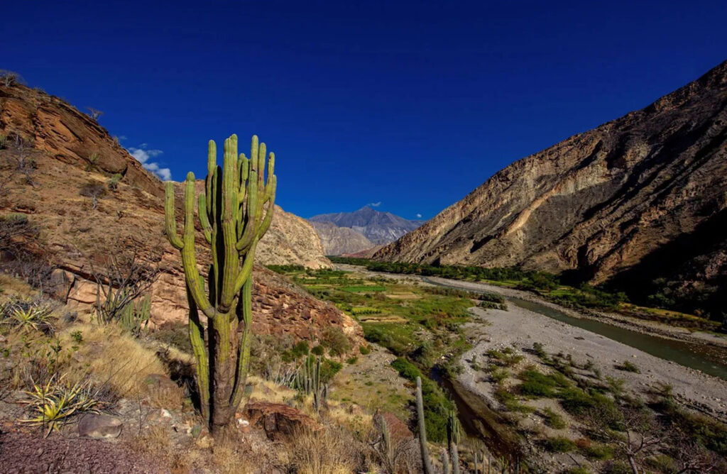 Paisaje del bosque seco del Marañón con cactus y montañas andinas