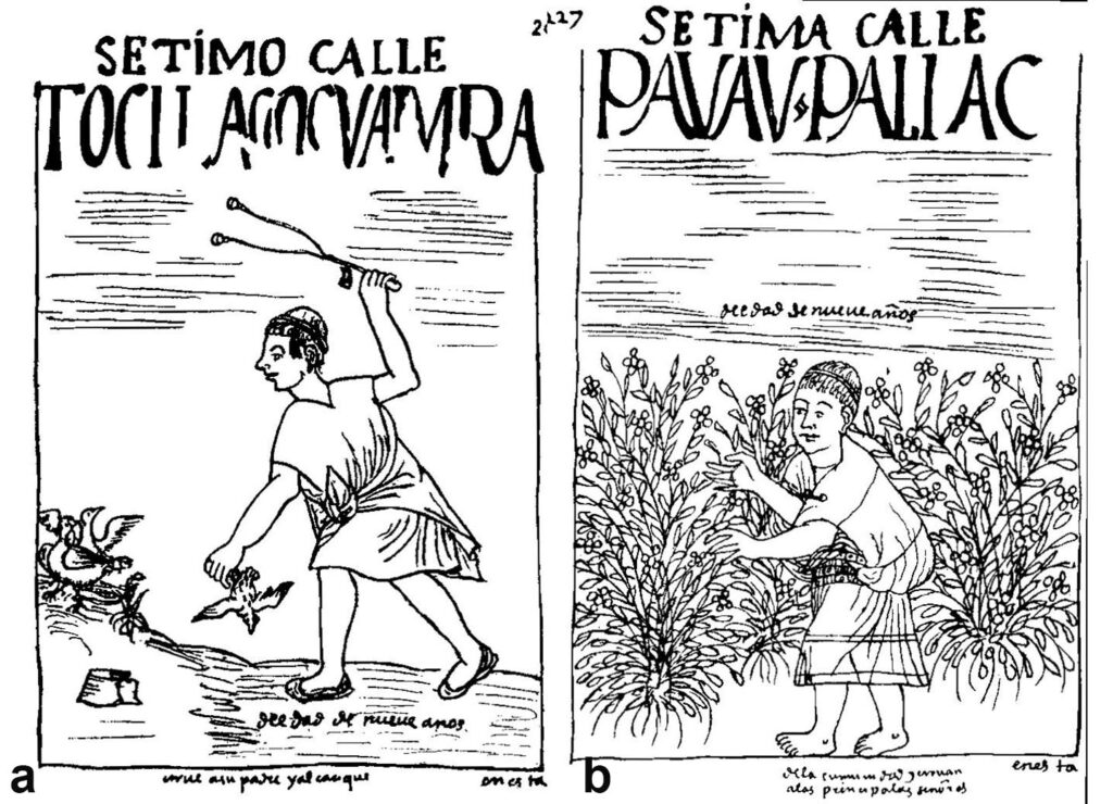 Ilustraciones de Guamán Poma sobre escenas de la vida andina: castigo y cultivo en tiempos coloniales