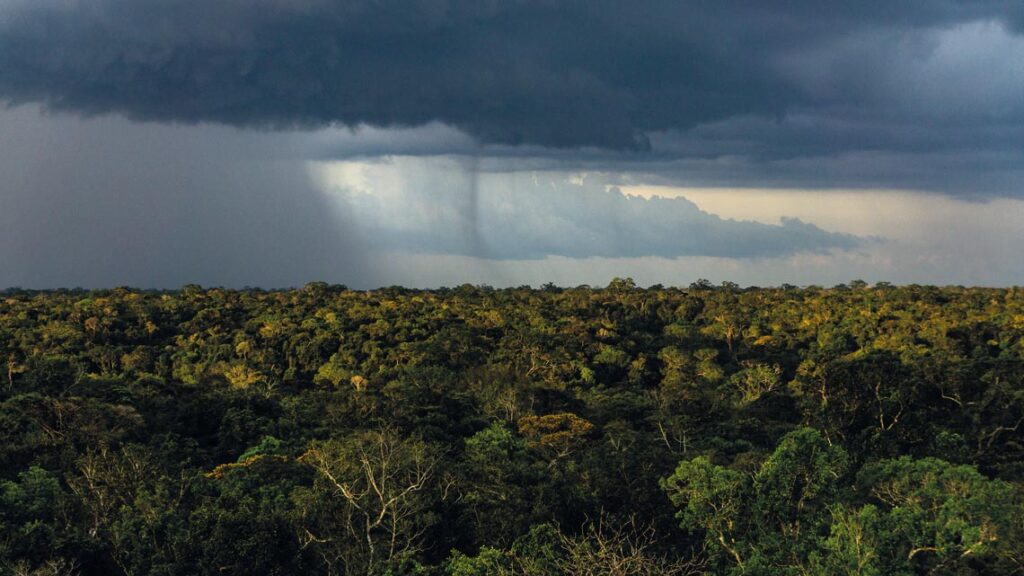 vista aérea de la selva amazónica con nubes de tormenta y cortinas de lluvia en el horizonte