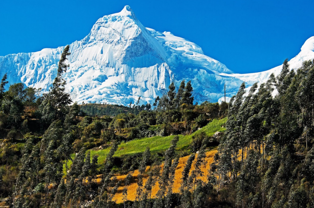 nevado en el Parque Nacional Huascarán con vegetación andina en primer plano