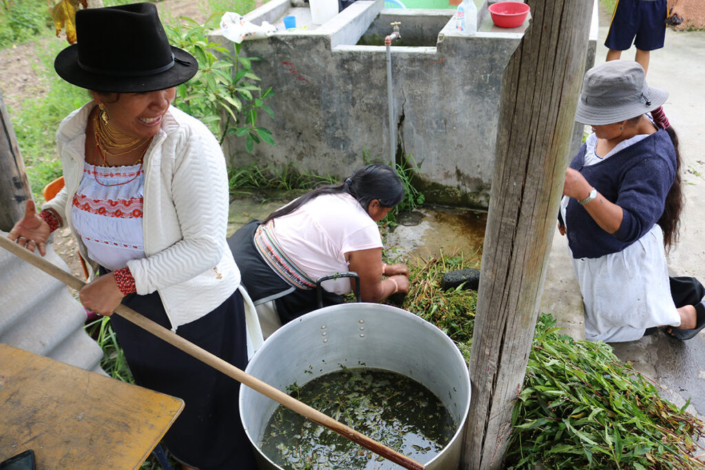Mujeres andinas preparando plantas medicinales en un entorno comunitario al aire libre
